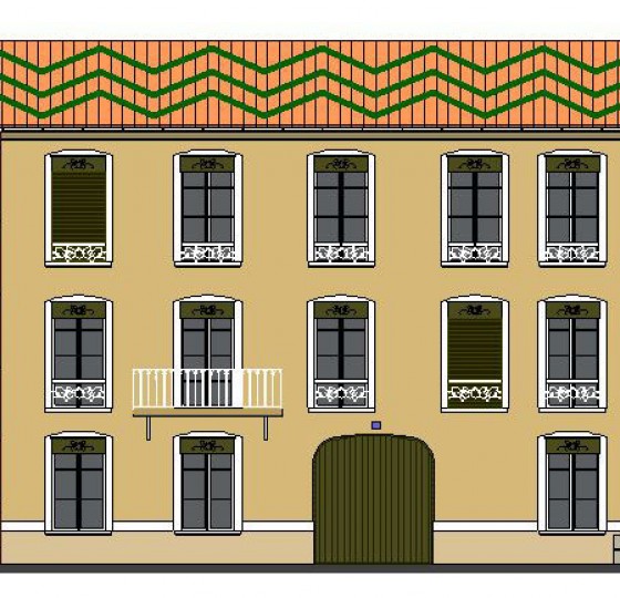 RENOVATION DE FACADES (42)