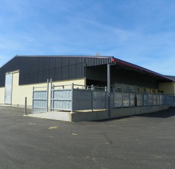 EXTENSION ET REAMENAGEMENT DE L'ABATTOIR DE CHARLIEU (42)