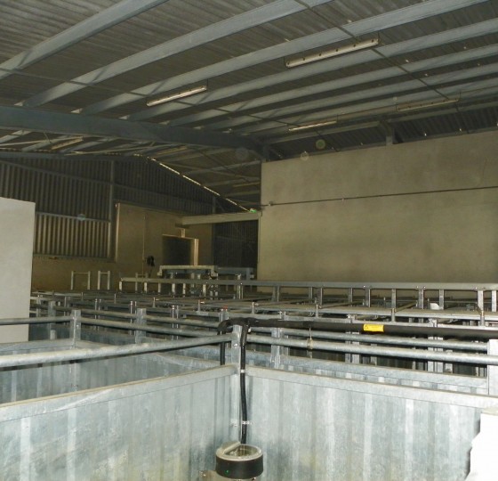 EXTENSION ET REAMENAGEMENT DE L'ABATTOIR DE CHARLIEU (42)