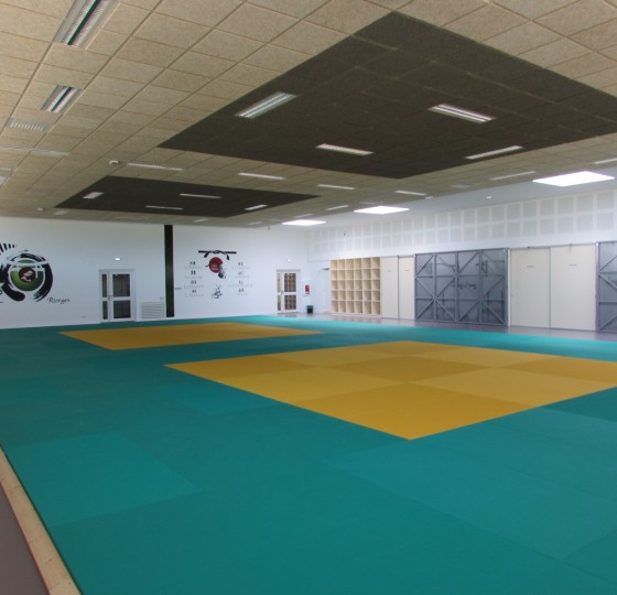 CONSTRUCTION D'UN DOJO A RIORGES (42)